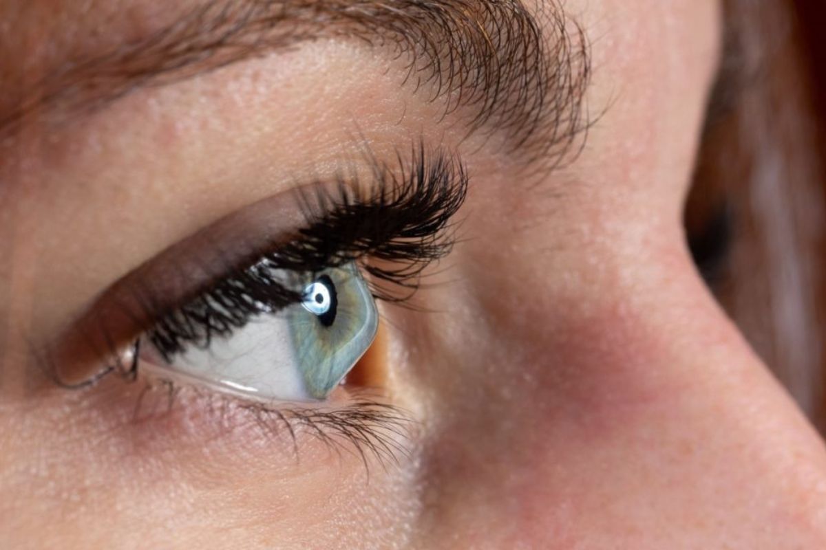 Cornea at Shankar Jyoti Netralaya
